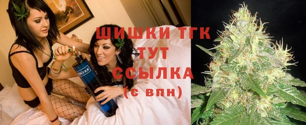 СК Алексин