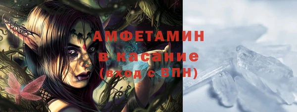 индика Гусь-Хрустальный