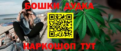 PSILOCYBIN Кузнецк