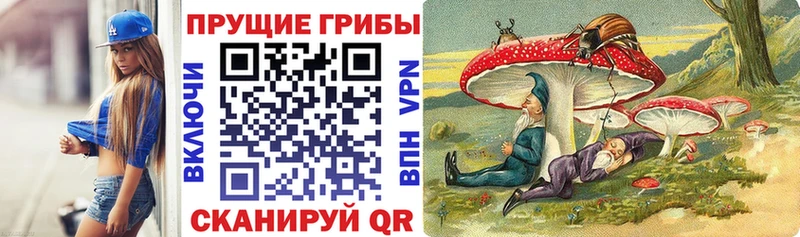 где купить   Арзамас  Псилоцибиновые грибы Psilocybine cubensis 